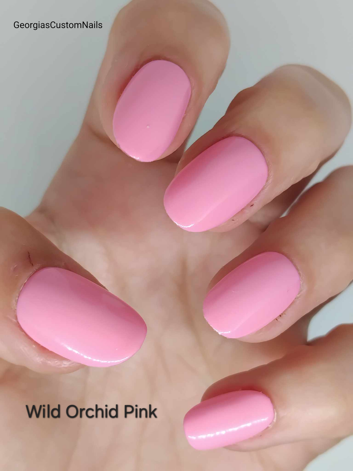 Pinks and Purples